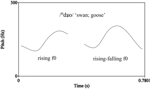Figure 3. Pitch contours of the two instantiations of the word / H dʑo / ‘swan; goose’: A rising  f0 contour vs