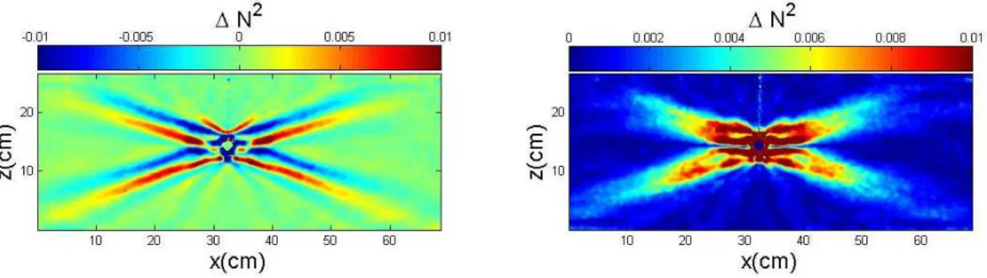 FIG. 2: Saint Andrew’s cross obtained with a cylinder of radius R = 1.5 cm oscillating vertically with an amplitude 1.5 mm at a frequency ω = 0.28 rad.s −1 in a stratified fluid with Brunt-V¨ais¨ al¨a frequency N = 1.0 rad.s −1 