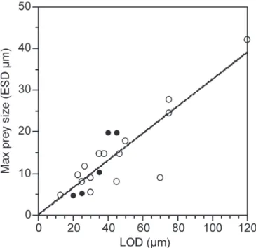 Fig. 5. Maximum prey size. Scatterplot of tintinnid lorica oral di- di-ameter and the average maximum prey size observed in tintinnids