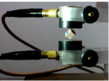 Figure 1: RUS measurement configuration showing the mounting of a bovine specimen be- be-tween ultrasonic transducers