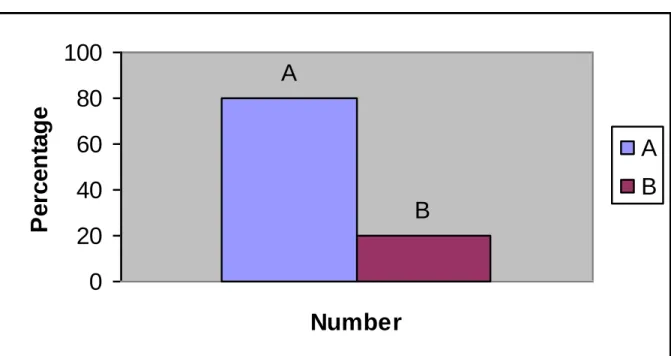 Figure 01: teachers’ qualification 