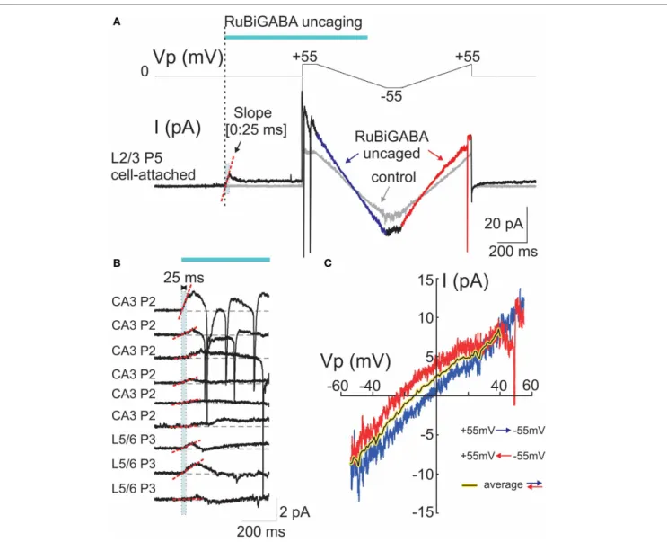 FIGURE 2 | Cell-attached responses evoked by photoreleased GABA and their voltage-dependence