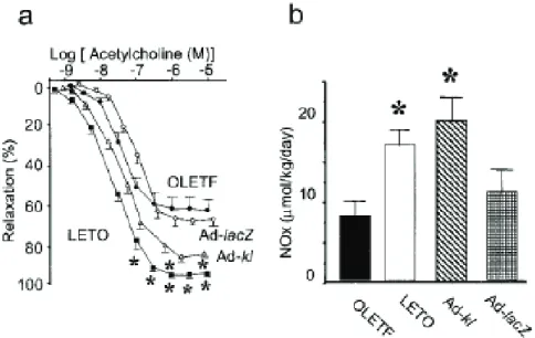 Figure 17. Vasodilatation endothélium-dépendante et métabolites du NO chez les  rats OLETF