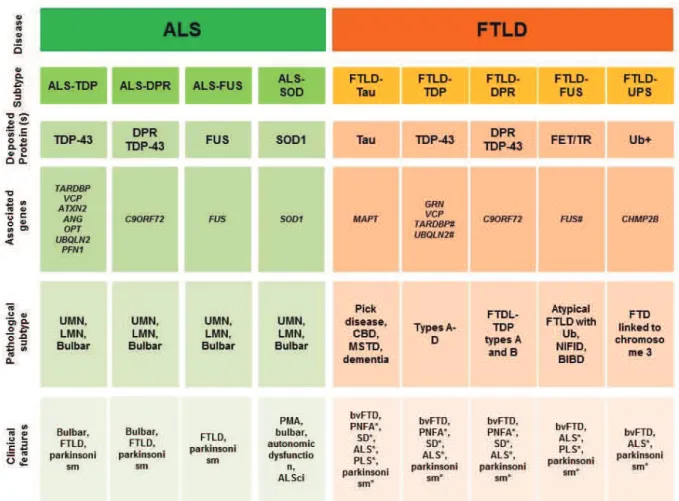 Table 3. Pathological and clinical features of ALS and FTLD subtypes 