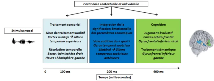 Figure 8. Représentation schématique du modèle de Schirmer et Kotz (2006) (adaptée de [358])