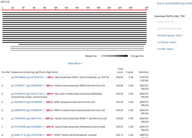 Fig. S11. SequenceServer formatted results of a protein BLAST query. 