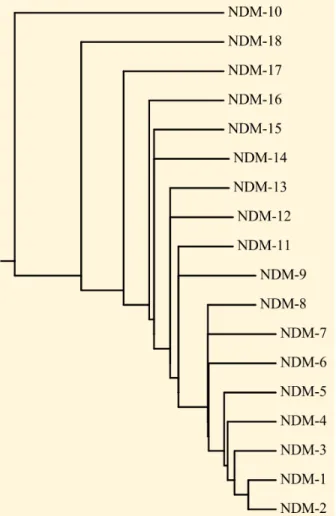 Fig.  S5.  Rooted  phylogenetic  tree  corresponding  to  the sequence alignment. 