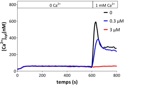 Figure 31. Effet du Benzothienyl-APB sur l’influx calcique SOCE des Jurkat 