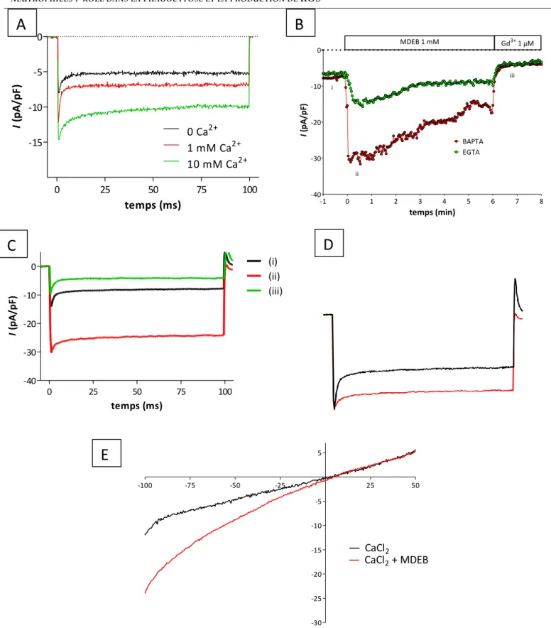 Figure  42.  Effet  du  MDEB  1  mM  sur  le  I CRAC .  A)  I CRAC   induit  par  une  mobilisation  passive  des  ions  Ca 2+