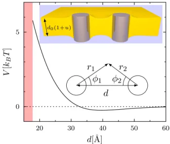 FIG. 1. Interaction energy V between two gramicidin chan- chan-nels in a DLPC bilayer as a function of their center-to-center distance d