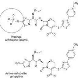 Figure 18 : Formules chimiques de la pro drogue (ceftaroline fosamil) et de la forme active (ceftaroline) : 