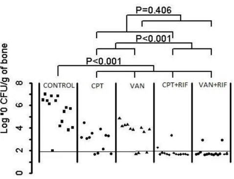 Figure 21 : Représentation graphique des résultats étude ceftaroline versus vancomycine 