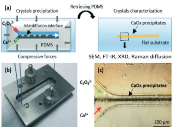 Fig. 1 a) Principle of the dismountable two-phase laminar flow micro- micro-fluidic device used for the synthesis and characterization of  precipi-tated CaOx crystals