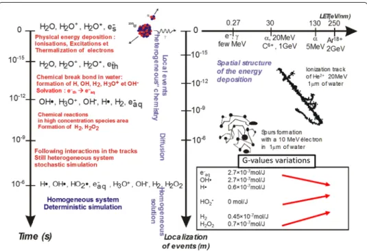 Fig. 1  Sketch of reactions of transient species produced by irradiation in pure water (Baldacchino and  Katsumura 2010)