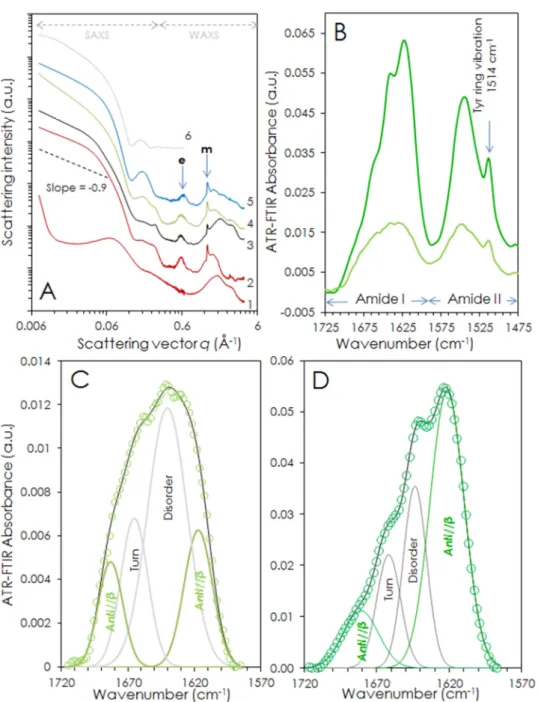 Figure  3 :  A)  SAXS-WAXS  profiles  of  10%w/w  atosiban  gels  solubilized  at  different  pH