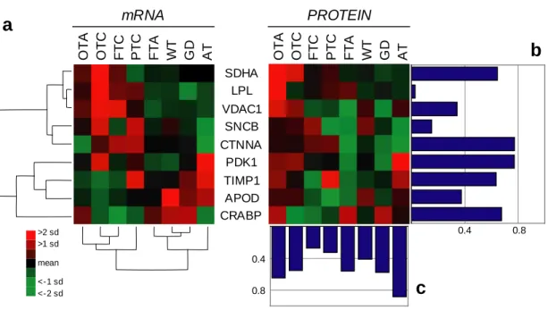 Figure 5: Protein expression levels of selected marker genes  SDHA LPL VDAC1 SNCB CTNNA1 PDK1 TIMP1 APOD CRABP1