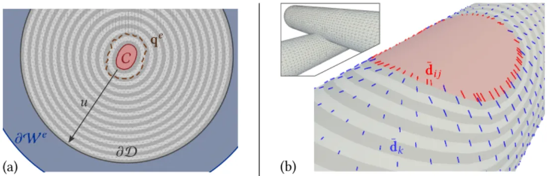 Fig. 4. Visualization of the parametrization and direction field. (a) Top view of the elastic surface in Fig