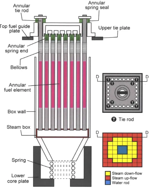 Figure  3-11  Cross-sectional  view of the ASBWR  fuel assembly  (D-D)