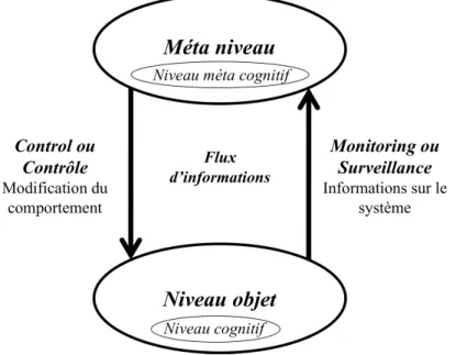 Figure 3 Schéma représentant les échanges d’informations entre les niveaux cognitif et  métacognitif, adapté du modèle proposé Nelson et Narens [5]  