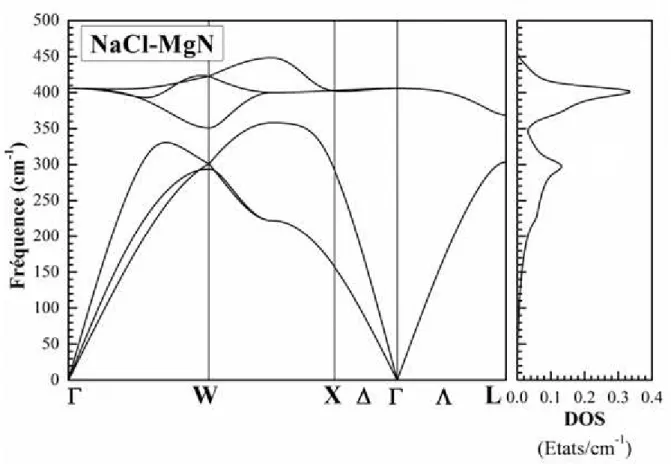 Fig. IV.3: Le spectre de phonons  et la densité d'états de phonons totale du composé MgN dans la phase NaCl  calculés en utilisant GGA-PBEsol