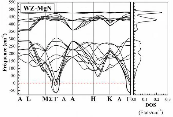 Fig. IV.5: Le spectre de phonons  et la densité d'états de phonons totale du composé MgN dans la phase WZ  calculés en utilisant GGA-PBEsol