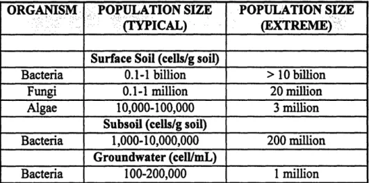 Table 3-1  Microorganism  Population  Distribution in Soil  and Groundwater (Nyer,  1992)
