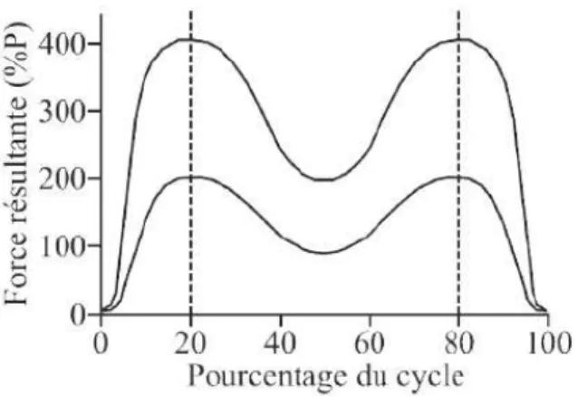 Figure 1-19:Intervalle de forces atteintes lors la phase d’appui du cycle de marche. 