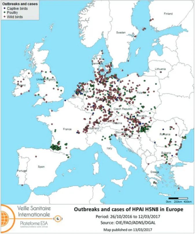 Figure 5 : Carte des foyers d’épizooties dues aux virus A(H5N8) HPAI en Europe entre le  26/10/2016 et le 12/03/2017