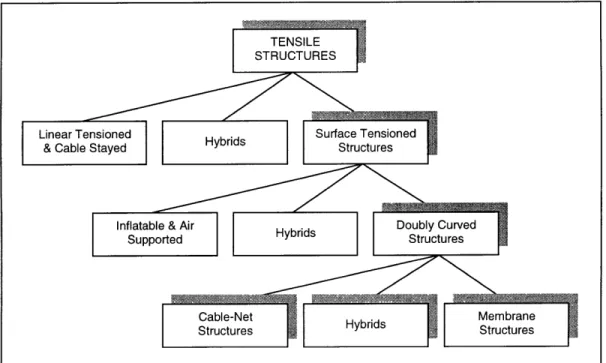 Figure  1.1  The  family of tensile  structures.