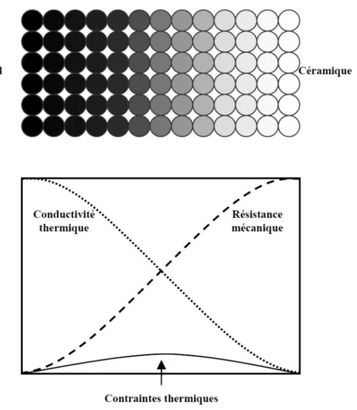 Figure I.1 : Concept des matériaux fonctionnellement gradués [Houari M.S.A., 2011]  