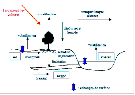Figure 6: Devenir des pesticides dans l’environnement après application  (Marlière, 2001) 