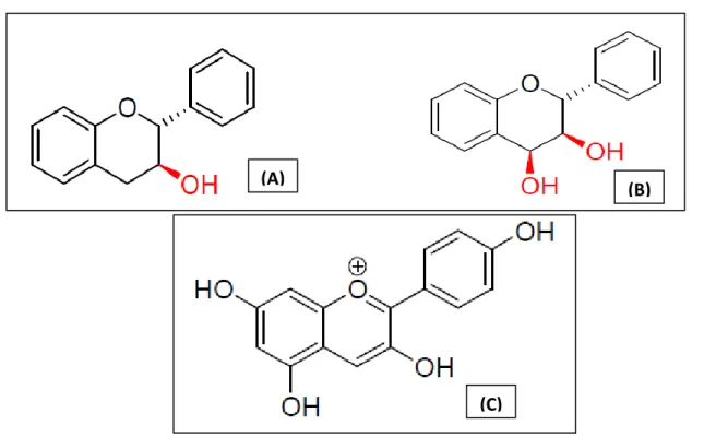 Figure 19 : Structure des Favan-3-ols (A) ; Flavan-3,4-diols (B) et Pelargonidol (C) (Bruneton, 1999) 