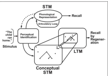 FIGURE 1 | Conceptual short term memory (CSTM) is represented in this cartoon as a combination of new perceptual information and associations from long term memory (LTM) out of which structures are built