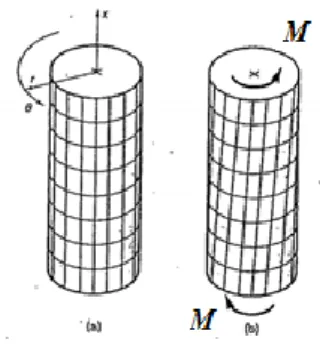Fig.  1.6  :  Lorsqu’une  membrure  droite  de  section  circulaire  est  soumise à une torsion,  la  seule  déformation  est  une  rotation  des  sections, parallèlement  les  unes  aux  autres  [74]