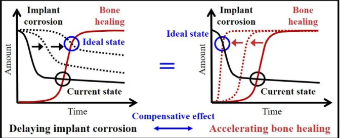 Figure 1. Schematic diagram of correlation between implant corrosion rate (black) and bone  healing  rate  (red)  showing  the  compensative  effect  of  delaying  the  initial  corrosion  of  the  implant (left) and accelerating bone healing (right) on or