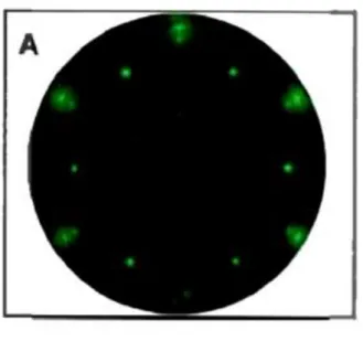 FIG 1.12 : La diffraction d'électrons lents (Law Energy Electrons Diffraction, LEED) de trois  couches de graphène épitaxie sur SiC 