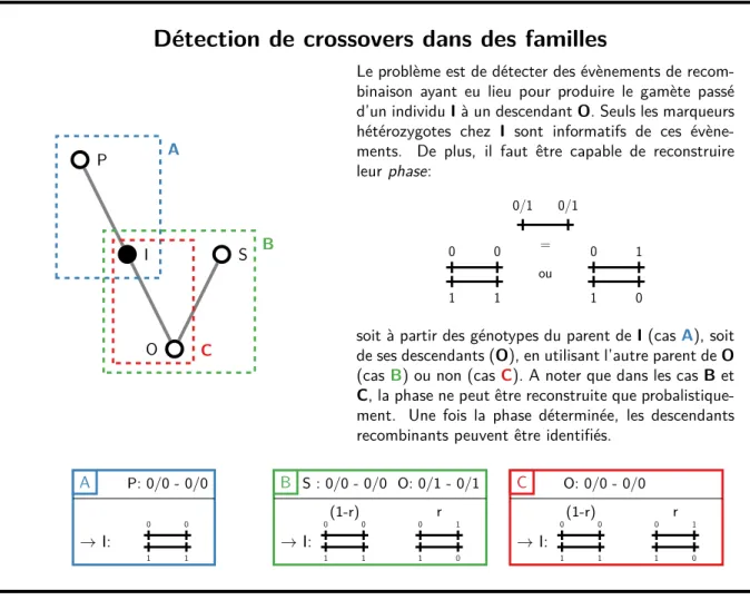 Figure 1.7 : Principe de détection des crossovers dans des familles