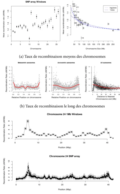 Figure 1.10 : Cartes de recombinaison méiotiques de la population ovine Lacaune.