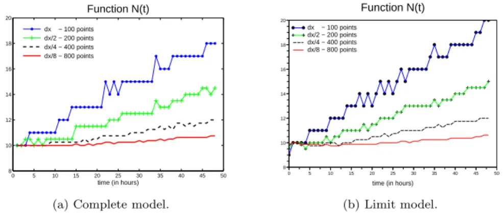 Fig. 3.11: Graphs of the functions N (t)