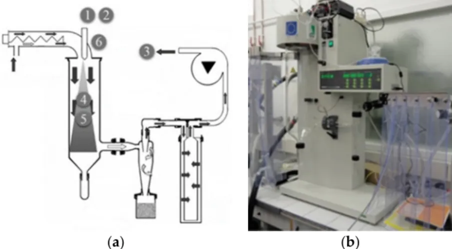 Figure 1. (a) Schematic view of the spray-drying (SD) experimental setup. Tunable parameters are  positioned and labeled: 1 viscosity of the initial liquid, 2 initial iron (II) and ligand concentrations, 3  suction flow, 4 air flow, 5 drying temperature, a