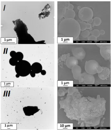 Figure 2. TEM and SEM images of the particles obtained from spray-drying for the selected batches I,  II, and III for [Fe(NH 2 trz) 3 ]Br 2 ·nH 2 O