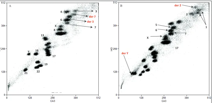Figure  28  :  Exemple  de  caryogrammes  de  flux  illustrant  la  séparation  des  dérivés  chromosomiques par CMF : 