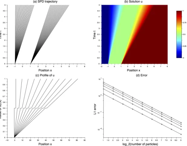 Figure 2. Numerical results for the Burgers equation with two-atom initial mea- mea-sure: (a) trajectories of 50 particles in the space-time plane, (b) value of the solution u(t, x) in the space-time plane, (c) profile of the solution u(t, x) at  succes-si