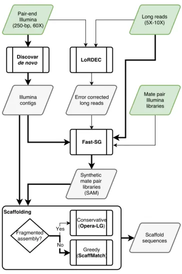 Figure 5: Fast-SG hybrid assembly workflow. Thick black lines represent the common path for hybrid assembly with Fast-SG