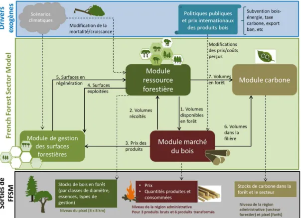 Figure 3 : représentation schématique des modules du modèle FFSM. La version 1.0 est composée du module « marché » et  du  module  « ressource »