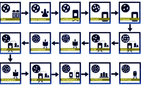 Figure 4: &lt;Overview  of  a Bulk Drug Substance  Manufacturing Process&gt;