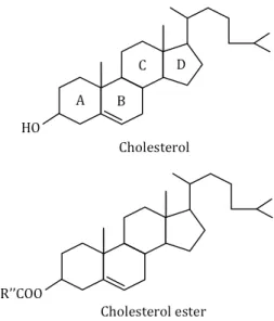 Figure 5. Structure of cholesterol and cholesterol ester 