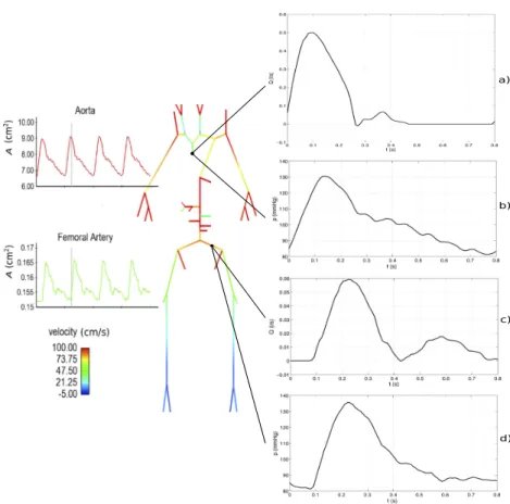 Figure 2. Plot of the reference solution for the 55 main arteries of the human body. Solid colors are the mean velocity, between its minimum (blue) and maximum (red)