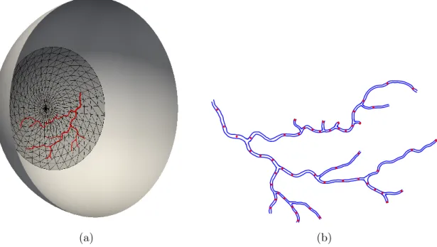 Figure 1.4: Geometry of large arterioles, for the simulations discussed in Section 1.2.2: a) global view of the mesh; b) map of the control points for the comparison with the experiment detailed in [RRG + 86].