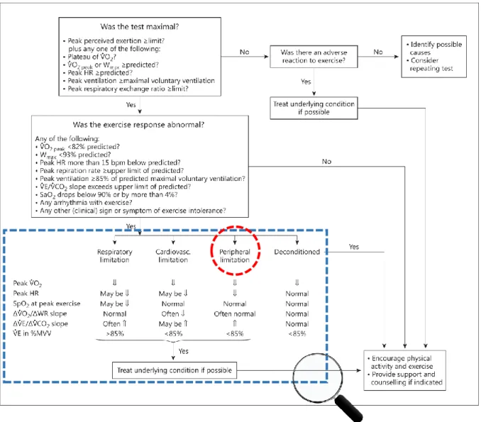 Figure 8 : Proposition d’une méthodologie pour l’interprétation d’une EFX chez le patient MV  HR = heart rate; MVV = maximal voluntary ventilation; SaO 2  = arterial O 2  saturation; SpO 2  = pulse  O 2  saturation; 